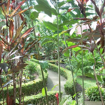 La Palapa Ecolodge Portalón エクステリア 写真
