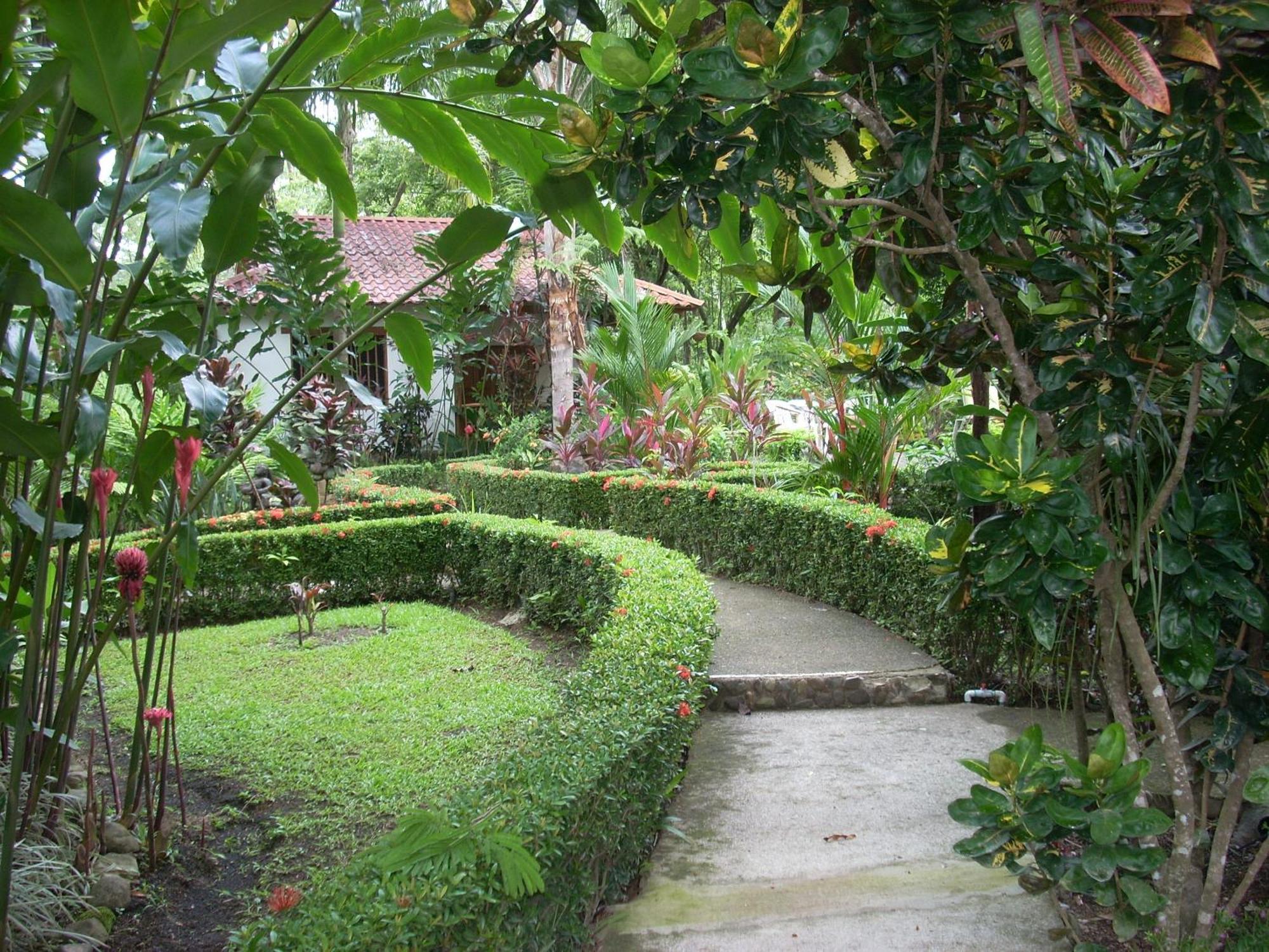 La Palapa Ecolodge Portalón エクステリア 写真