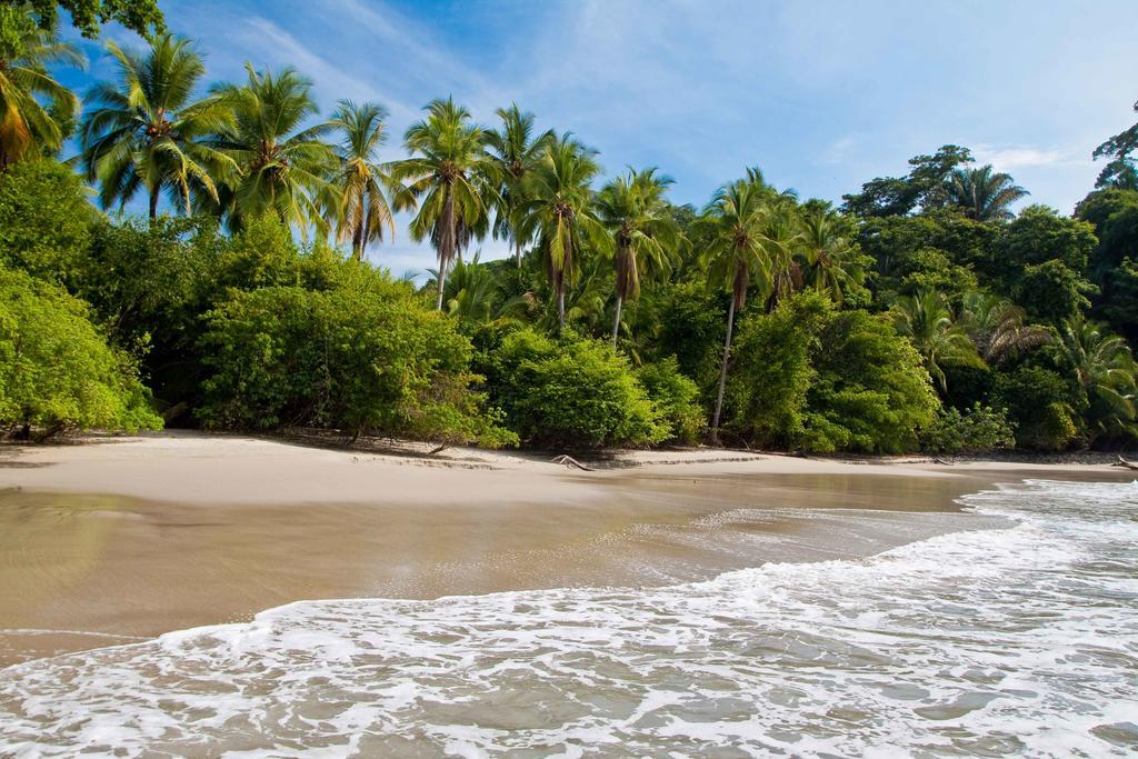 La Palapa Ecolodge Portalón エクステリア 写真