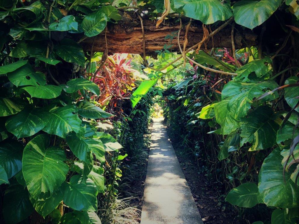 La Palapa Ecolodge Portalón エクステリア 写真