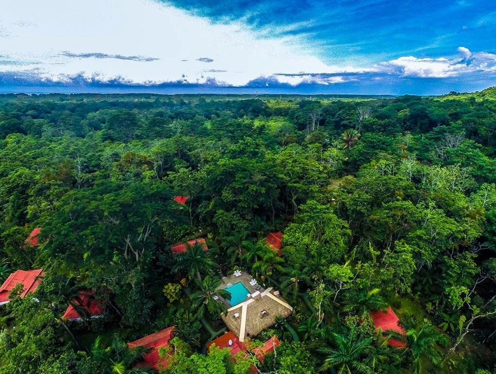 La Palapa Ecolodge Portalón エクステリア 写真