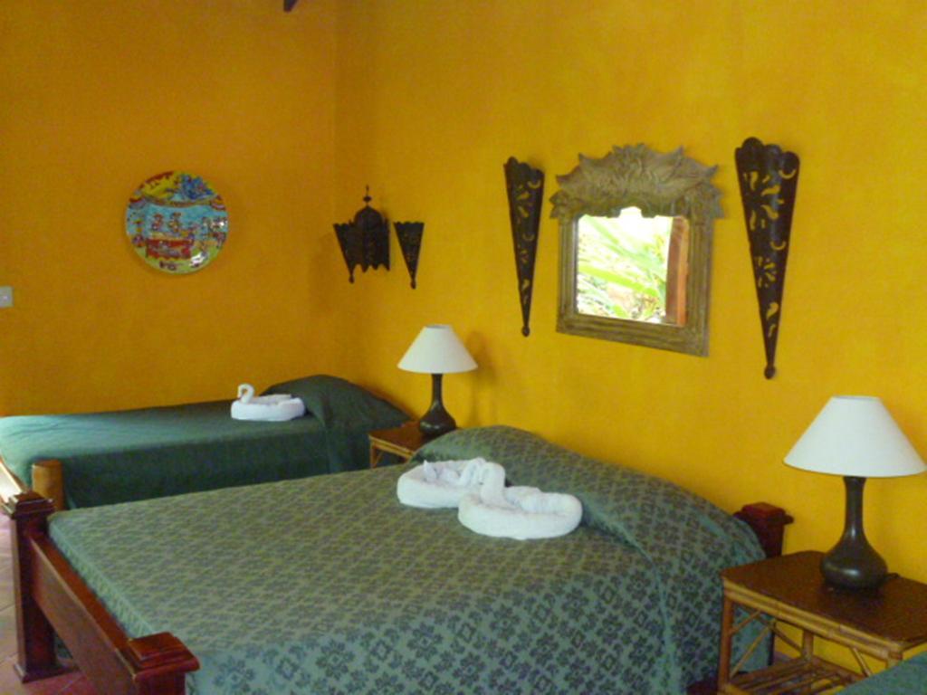 La Palapa Ecolodge Portalón エクステリア 写真