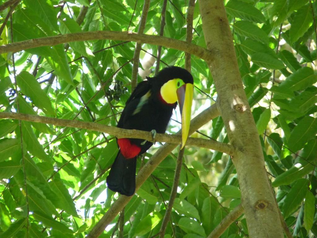 La Palapa Ecolodge Portalón エクステリア 写真