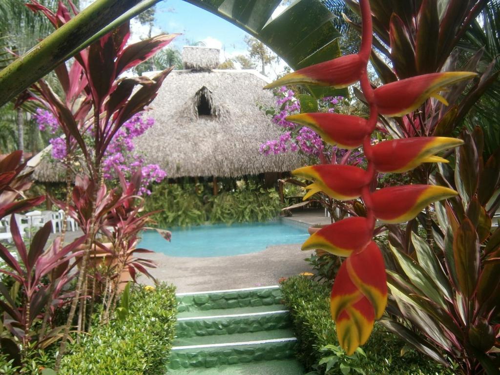 La Palapa Ecolodge Portalón エクステリア 写真