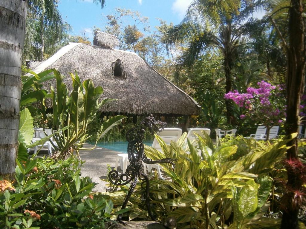La Palapa Ecolodge Portalón エクステリア 写真