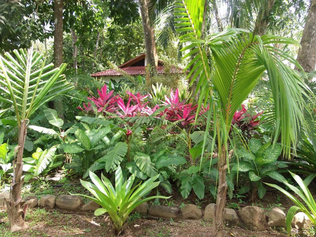 La Palapa Ecolodge Portalón エクステリア 写真