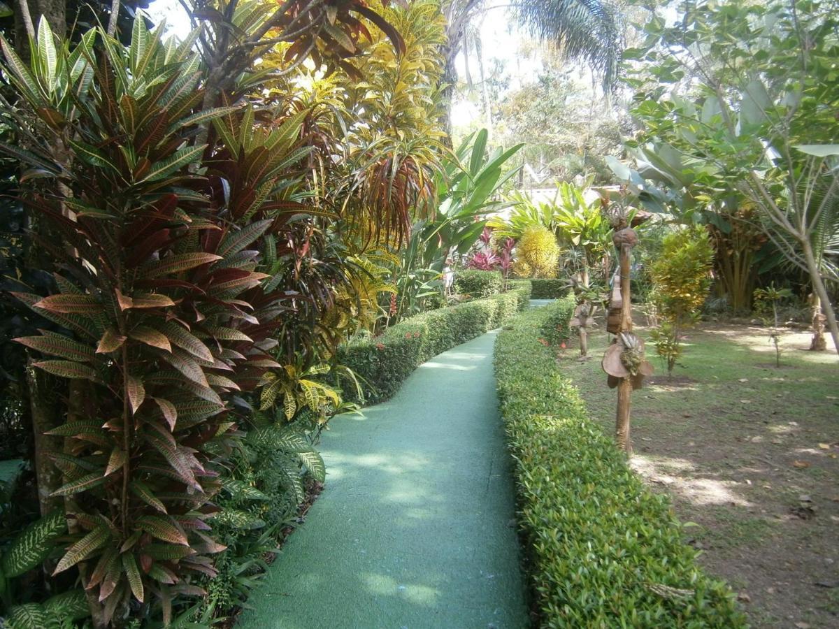 La Palapa Ecolodge Portalón エクステリア 写真